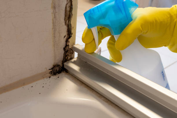 Best Mold Odor Removal Services  in Centreville, MS